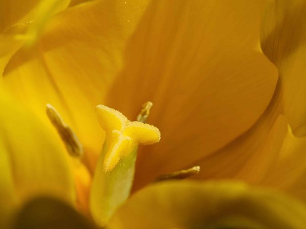 Quelles sont les nouvelles tendances en matière de publicités immersives pour les entreprises de vente de produits réutilisables ?